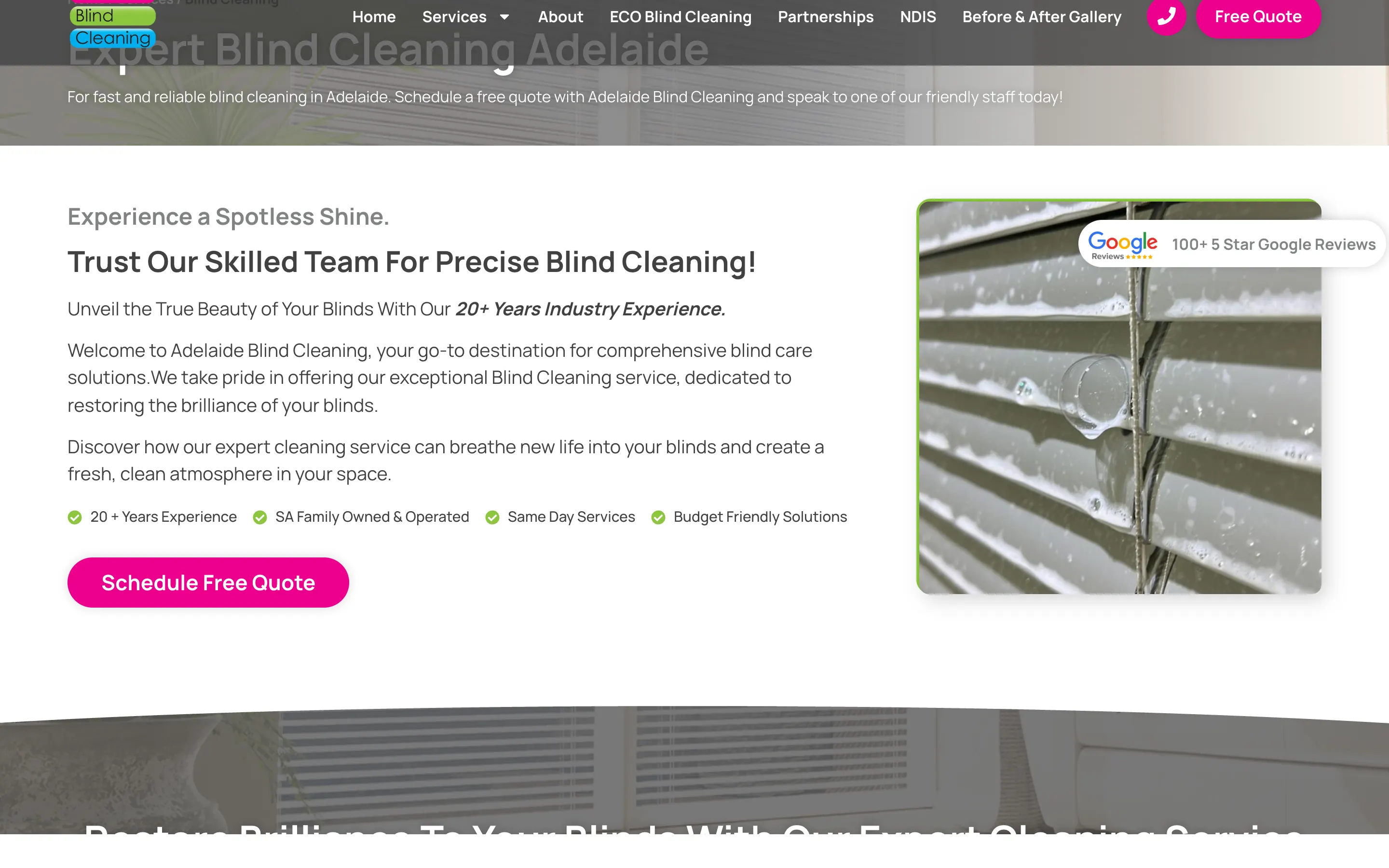 Adelaide Blind Cleaning website - Blind Cleaning page on desktop