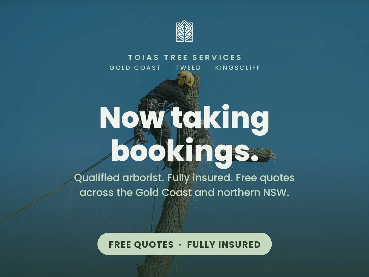 Google Business Profile launch post - now taking bookings