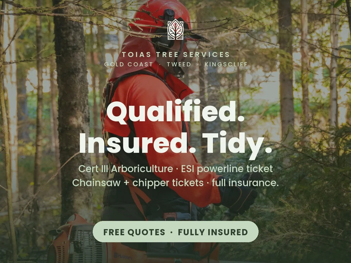 Google Business Profile post - qualifications and insurance